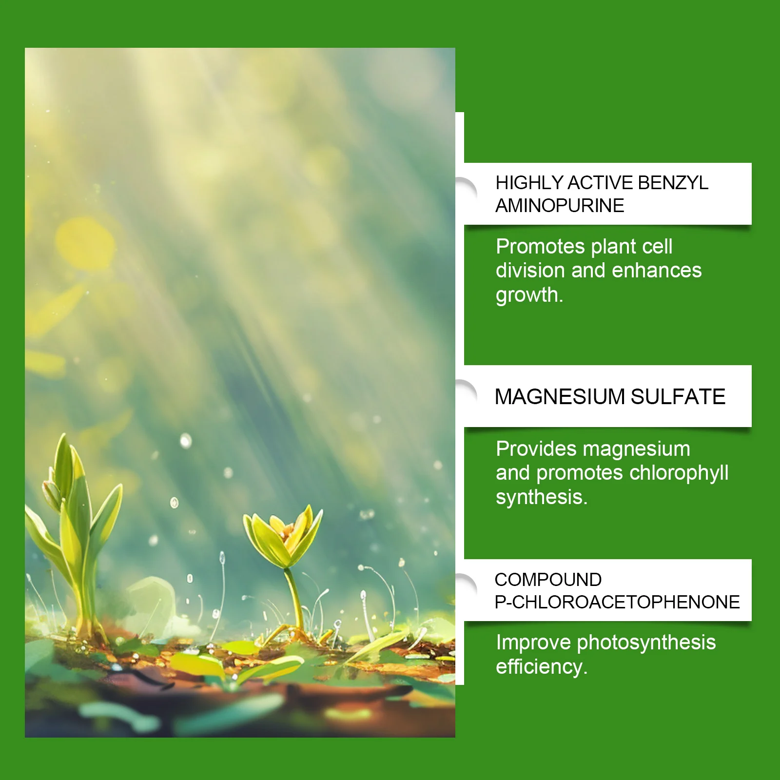 All Purpose Plant Fertilizer Spray 100ml with Nitrogen & Amino Acids for Rapid Growth 8 all purpose plant fertilizer spray 100ml moo v7r323zp desc 8