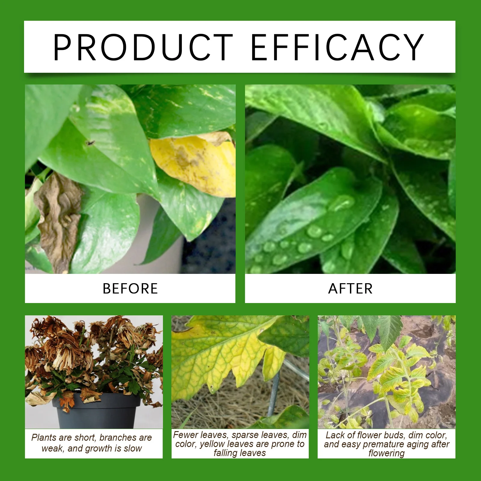 All Purpose Plant Fertilizer Spray 100ml with Nitrogen & Amino Acids for Rapid Growth 9 all purpose plant fertilizer spray 100ml moo v7r323zp desc 9