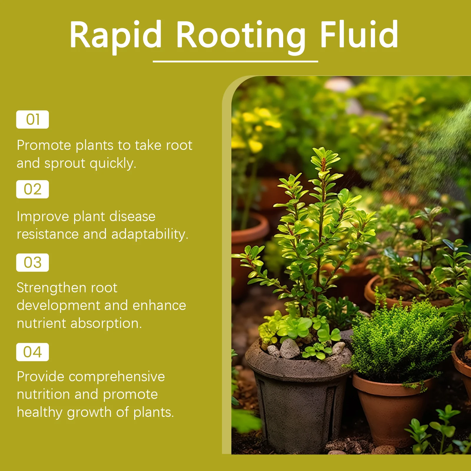 Plant Rooting Solution 100ml Rapid Rooting Liquid with Nitrogen & Potassium for Strong Root Growth 7 plant rooting solution 100ml rapid rooting liquid moo tyh8m9d8 desc 7