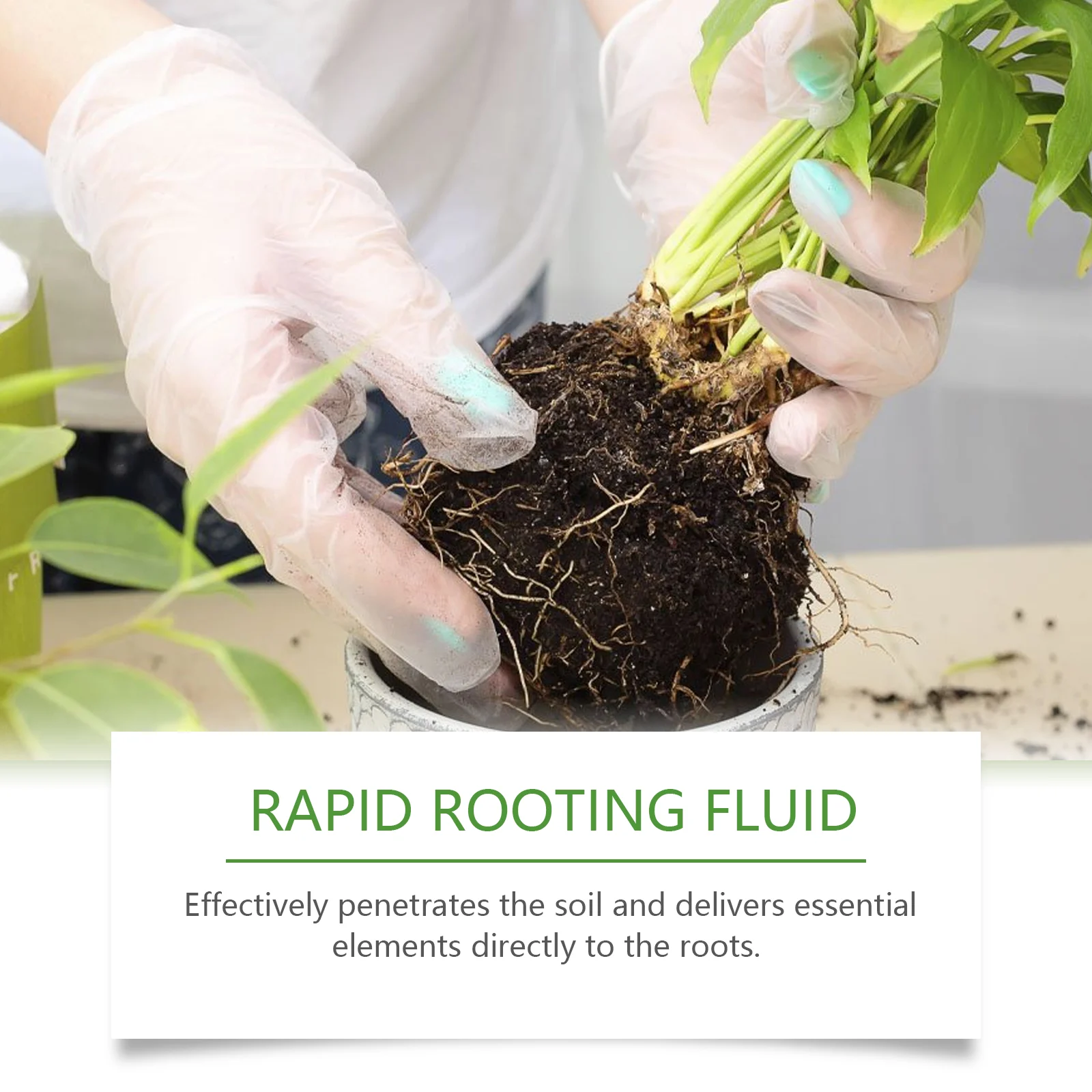 Plant Rooting Solution 100ml Rapid Rooting Liquid with Nitrogen & Potassium for Strong Root Growth 8 plant rooting solution 100ml rapid rooting liquid moo tyh8m9d8 desc 8