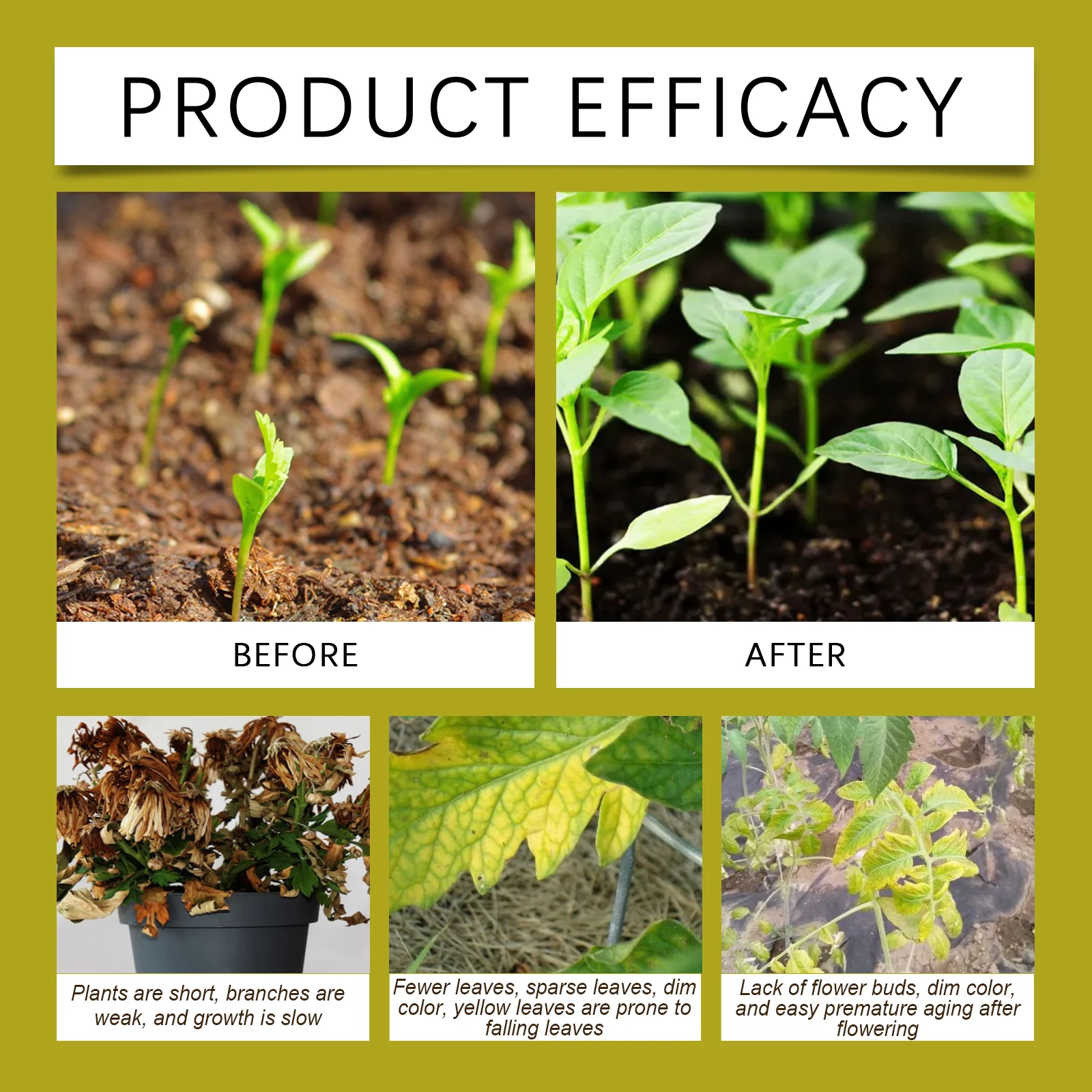 Plant Rooting Solution 100ml Rapid Rooting Liquid with Nitrogen & Potassium for Strong Root Growth 9 plant rooting solution 100ml rapid rooting liquid moo tyh8m9d8 desc 9